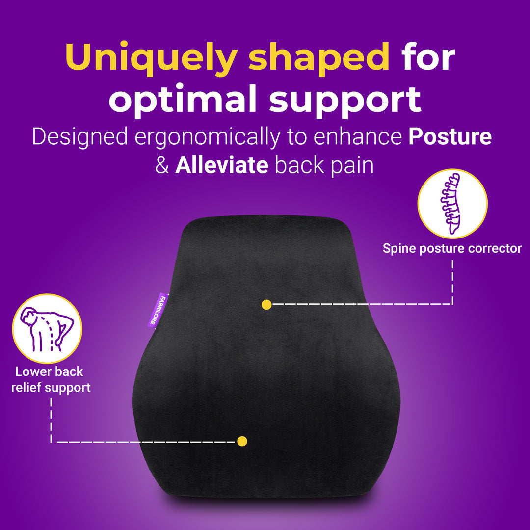 Fabrilore Back Lumbar Support